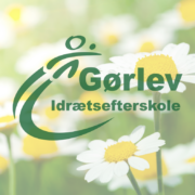 Billedet viser en baggrund med hvide margueritter. I forgrunden ses Gørlev Idrætsefterskoles logo.