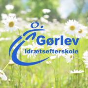 Billedet viser en baggrund med hvide margueritter. I forgrunden ses Gørlev Idrætsefterskoles logo.