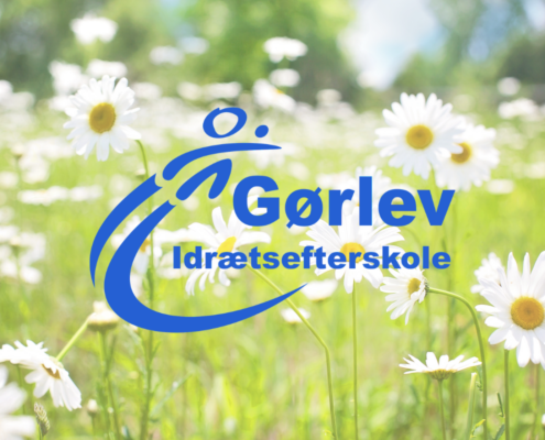 Billedet viser en baggrund med hvide margueritter. I forgrunden ses Gørlev Idrætsefterskoles logo.