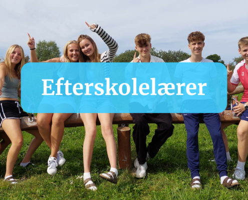 I baggrunden af billedet ses en gruppe efterskoleelever. I forgrunden ses overskriften "efterskolelærer".