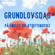 På billedet ses en masse røde valmuer, og i forgrunden står der "Grundlovsdag på Gørlev Idrætsefterskole".