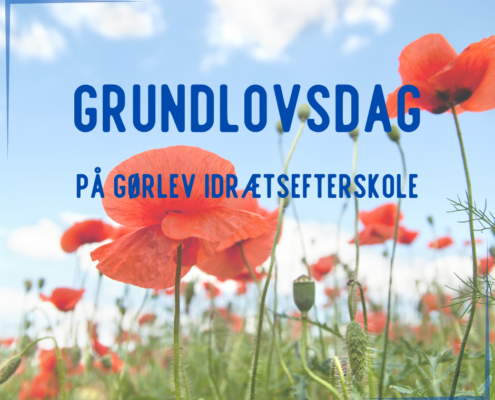 På billedet ses en masse røde valmuer, og i forgrunden står der "Grundlovsdag på Gørlev Idrætsefterskole".