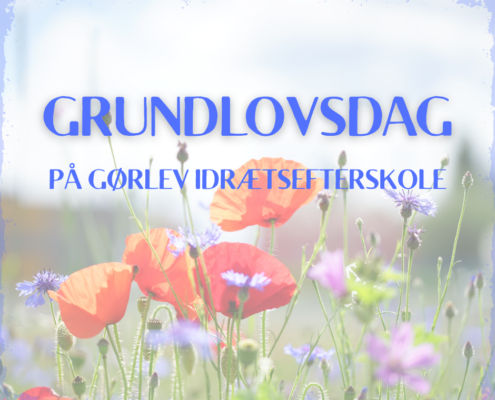 På billedet ses røde valmuer og blå kormblomster, og i forgrunden står der "Grundlovsdag på Gørlev Idrætsefterskole".